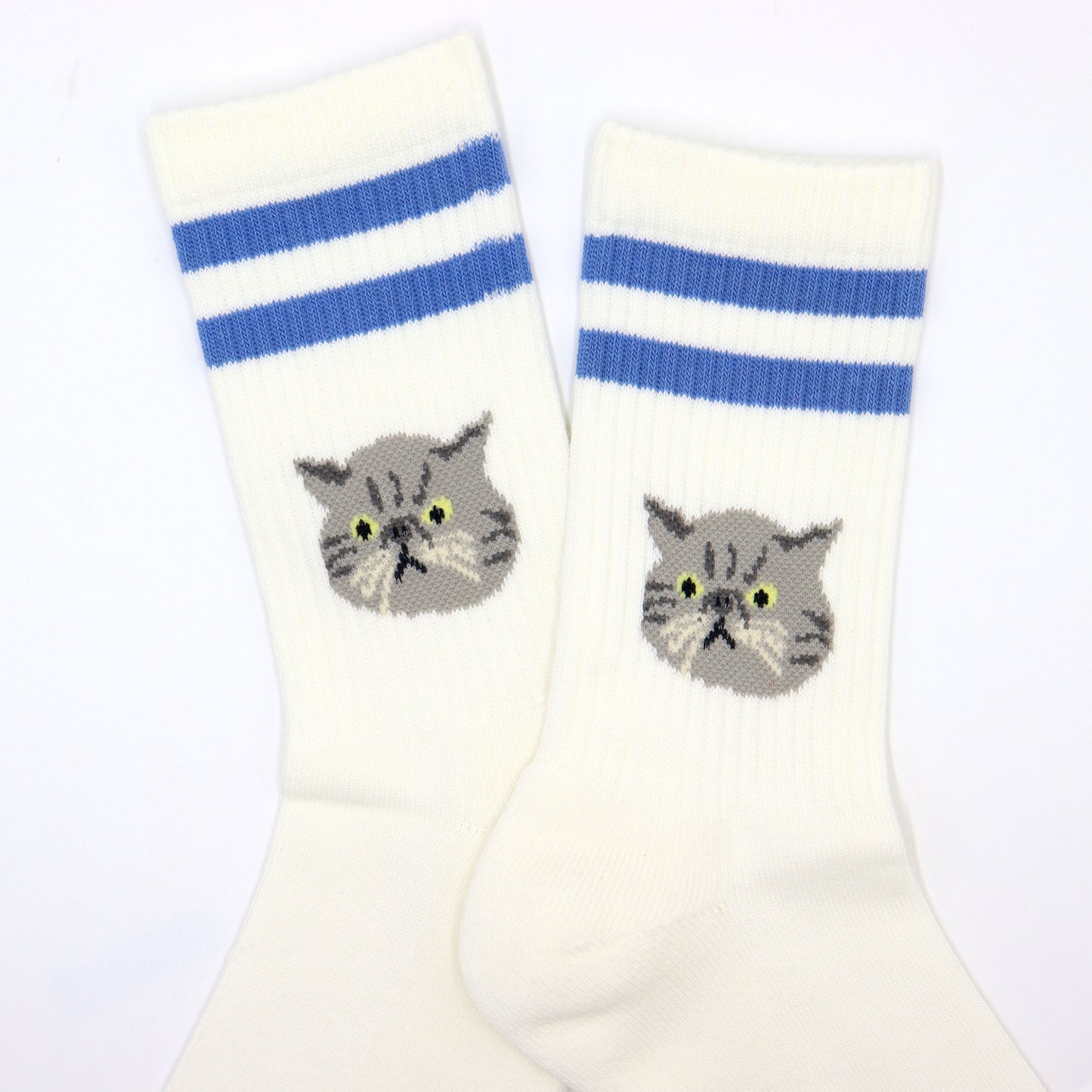 Blue Stripe Cat